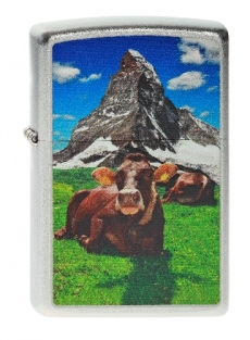 Zippo Swiss Cow